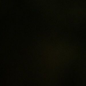 Meet your Posher, Selena